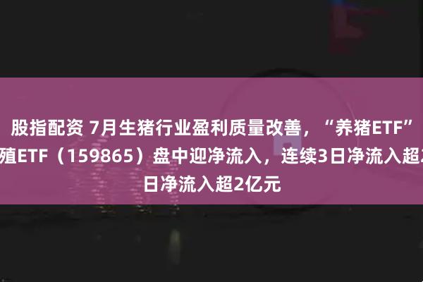 股指配资 7月生猪行业盈利质量改善,“养猪ETF”——养殖ETF(159865)盘中迎净流入,连续3日净流入超2亿元
